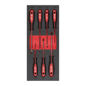 SET TRI-LOBE ΚΑΤΣΑΒΙΔΙΑ ΙΣΙΑ ΚΑΙ ΣΤΑΥΡΟΥ (SL & PH) ΣΕ ΕΝΘΕΤΟ ΑΦΡΟΥ- 7 TEM